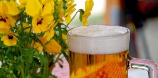 Jak zrobić ogródek od podstaw?