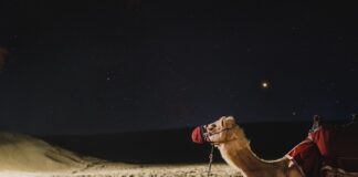 Jak jeździć dużym autem?