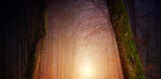 Jak zrobić romantyczna randkę?