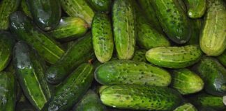 Co można posadzić obok ogórków?