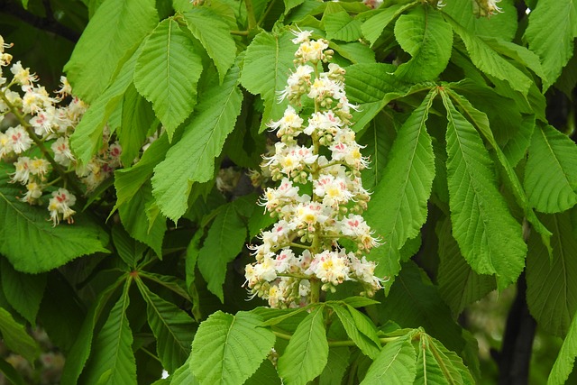 Co trzeba zdawać na maturze na finanse i rachunkowość? Co trzeba zdawać na maturze na finanse i rachunkowość?