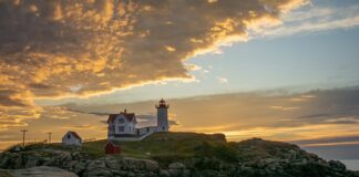 Co jest tanie w Anglii a drogie w Polsce?