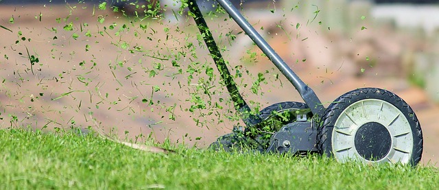 Jak prawidłowo kosić trawnik?