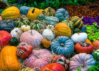 Co wegetarianie jedzą na śniadanie? Co wegetarianie jedzą na śniadanie?