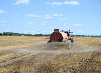 Czy popiół z drewna jest dobrym nawozem?