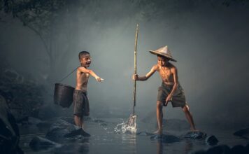 Dlaczego zdychają ryby w oczku wodnym?