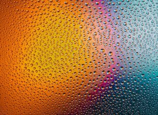 Czy można myć szczotkę od odkurzacza?