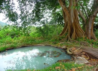 Co lepsze szambo czy przydomowa oczyszczalnia?