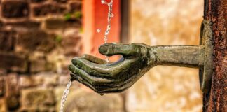 Jak czyścić żwirowe ścieżki?