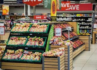 Na co zwrócić uwagę przy zakupie odkurzacza Piorącego?