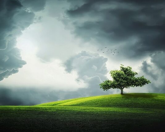 Czym zlikwidować zielony nalot?