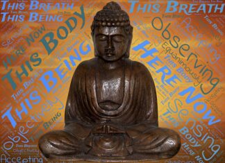 Co robimy z osadem z przydomowych oczyszczalni ścieków?